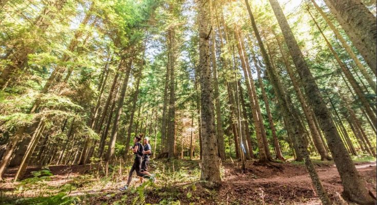 IOC launches 2025 edition of IOC Climate Action Awards